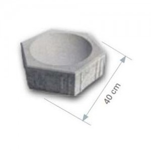 Trylinka soczewkowa {Betard gr. 12&nbsp;cm}