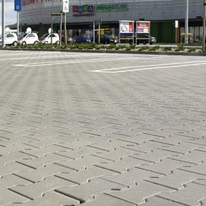 Kostka brukowa {Pozbruk DOMINO 6 cm}