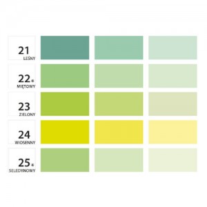 Koncentrat pigmentowy {Primacol Professional 80 ml}