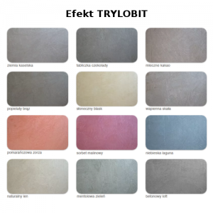 Tynk do efektów przestrzennych {Fox Dekorator Relief 8kg}