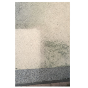 Środek do usuwania zanieczyszczeń mikrobiologicznych {STAINER BIO OUT 10 l}