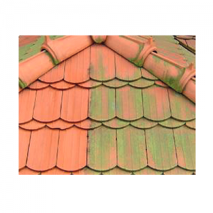 Impregnat zabezpieczający przed zanieczyszczeniami mikrobiologicznymi {STAINER BIO STOP 5 l}