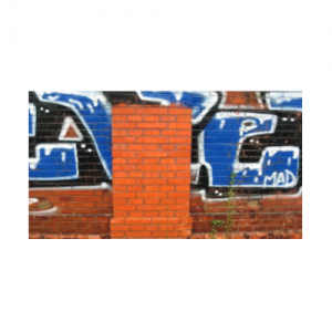 Impregnat zabezpieczający elewację przed graffiti {STAINER GRAFFITI STOP 1 l}