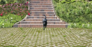 PŁYTA AZUROWA {ZPB Kaczmarek MEBA SZARY 60x40x10 cm 7,68 m2}